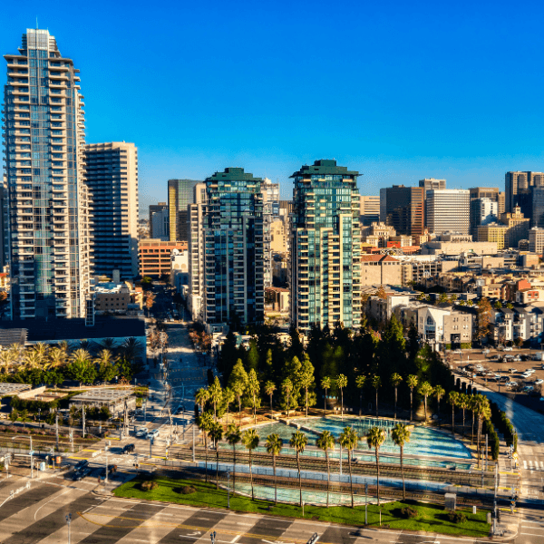 Where To Find Magic Mushrooms in San Diego
